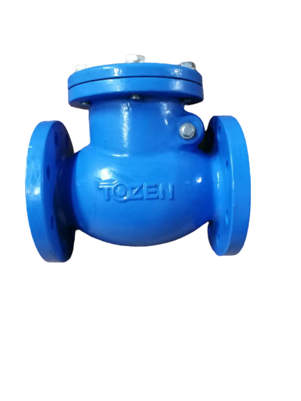 SWING CHECK VALVE (BS EN 16767)