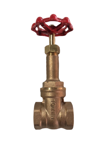 BRONZE RISING STEM GATE VALVE